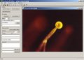 Time-Lapse Videorecorder Software (f�r Detailansicht klicken)