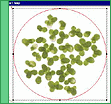 medeaLAB Count & Classify - medeaLAB Tracking