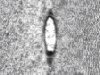 Hole