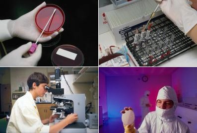 Daphnientest Auswertung Gute Laborpraxis (GLP) medeaLAB Tracking