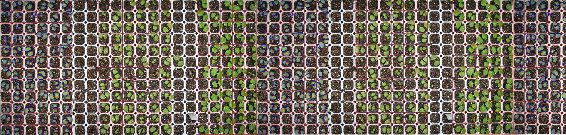 medeaLAB Imaging Systems